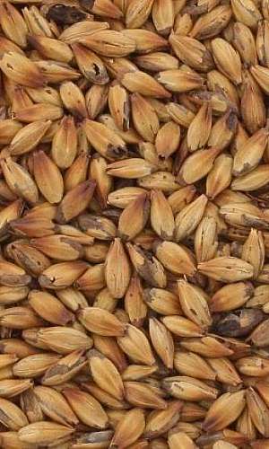 Venda de insumos para cerveja artesanal Venda de insumos para cerveja artesanal